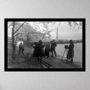 Künstler und Kirschbäume in Washington, DC 1920 Poster