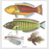 Künstlerimpression Tropischer Fisch Illustration V Aufkleber (Blatt)