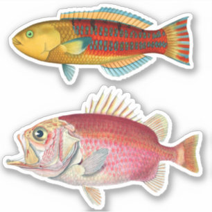 Künstlerimpression Tropischer Fisch Illustration V Aufkleber
