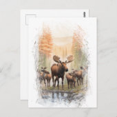 *~* Künstlerisch AP49 MOOSE HERD Forest STREAM Postkarte (Vorne/Hinten)