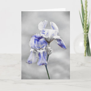 Künstlerisch Blue Grey Iris Blume Portrait Kunstvo Karte