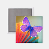 Künstlerisch Butterfly Magnet (Vorderseite/Rückseite)
