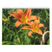 künstlerisch kalender (Titelbild)