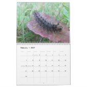 künstlerisch kalender (Feb 2027)