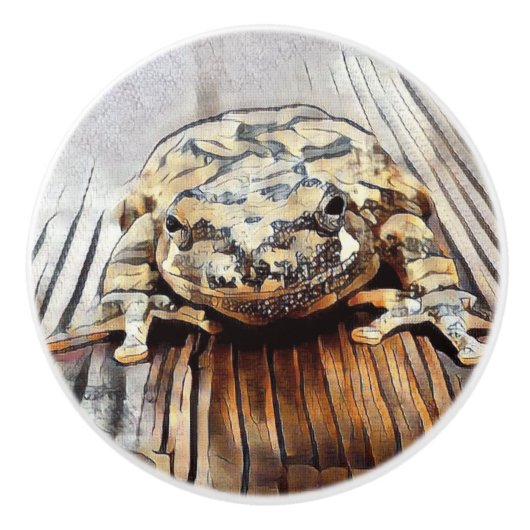 Künstlerische Baum-Frosch-dekorative Keramikknauf (Vorderseite)