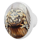 Künstlerische Baum-Frosch-dekorative Keramikknauf (Rechts)