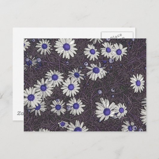 Künstlerische Daisies Postkarte (Vorne/Hinten)