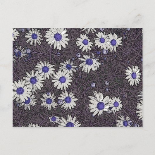 Künstlerische Daisies Postkarte (Vorderseite)