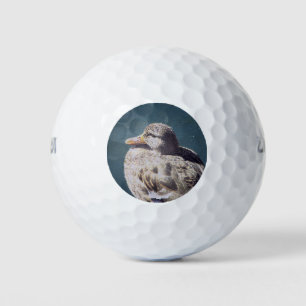 Künstlerische Frau Mallard Dusche Relaxen Blaues W Golfball