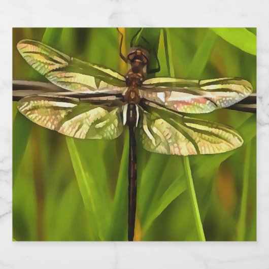 Künstlerische Libelle in Braun und Gelb auf Grün Bierflaschenetikett (Einzelnes Label)