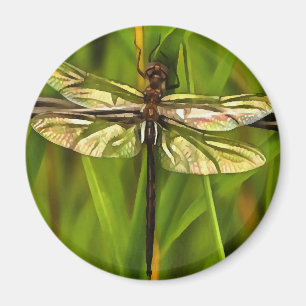 Künstlerische Libelle in Braun und Gelb auf Grün Magnet