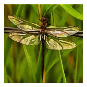 Künstlerische Libelle in Braun und Gelb auf Grün Poster