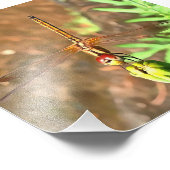 Künstlerische Libellenruhe auf einer Blume Fotodruck (Ecke)