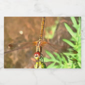 Künstlerische Libellenruhe auf einer Blume Lebensmitteletikett (Einzelnes Label)