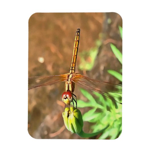 Künstlerische Libellenruhe auf einer Blume Magnet (Vertikal)