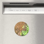 Künstlerische Libellenruhe auf einer Blume Magnet (In Situ (Geschirrspüler))