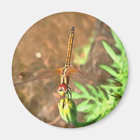 Künstlerische Libellenruhe auf einer Blume Magnet (Vorne)
