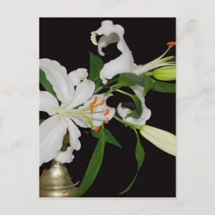 Künstlerische Lilienkollektion-1 Postkarte