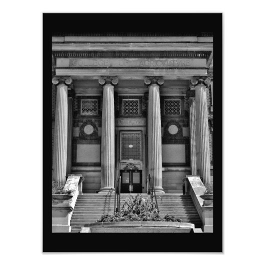 künstlerische Säulen Fotodruck (Vorne)