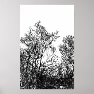 Künstlerische Schwarz-Weiß-Baum-Moderne Poster