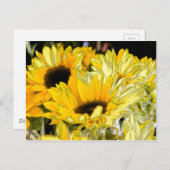 Künstlerische Sonnenblume Postkarte (Vorne/Hinten)