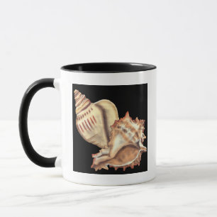Künstlerische Tritonshorn-Muscheln Tasse