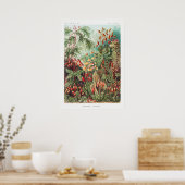 Künstlerische Vintage Illustration Natur Ernst Hae Poster (Küche)