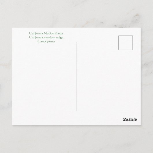 Künstlerischer April Postkarte (Rückseite)