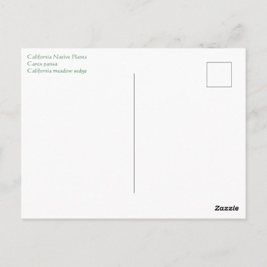 Künstlerischer April Postkarte (Rückseite)