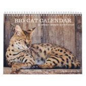 Künstlerischer Big Cat Kalender (Titelbild)