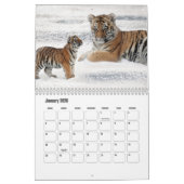 Künstlerischer Big Cat Kalender (Jan 2026)