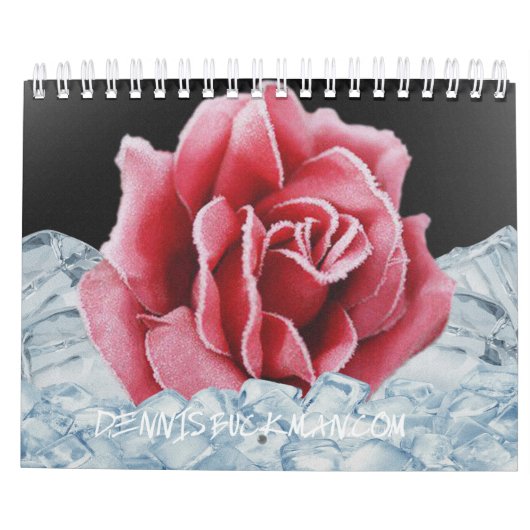 Künstlerischer Blumenkalender Kalender (Rückseite)