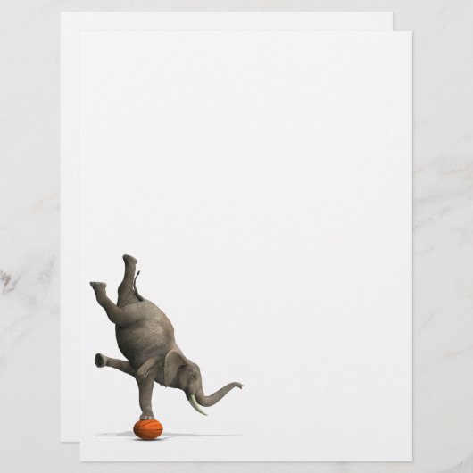 künstlerischer Elefant (Vorne/Hinten)