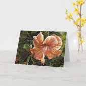 Künstlerischer Peach Hibisken Art Note Card Karte (Gelbe Blume)