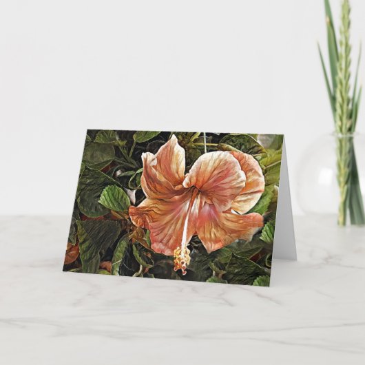 Künstlerischer Peach Hibisken Art Note Card Karte (Vorderseite)