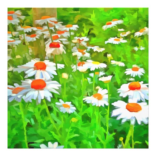 Künstlerischer Pop Bright and Colorful Art Daisies Fotodruck (Vorne)