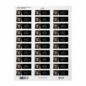 Künstlerischer Wilder Afrikanische Löwe (Vorne)