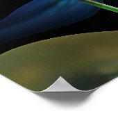 Künstlerisches Blumenposter mit Spiralhintergrund Poster (Ecke)