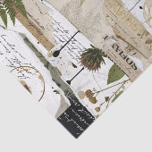 Künstlerisches Collage-Papier:-Botanisch Seidenpapier (Ausschnitt)