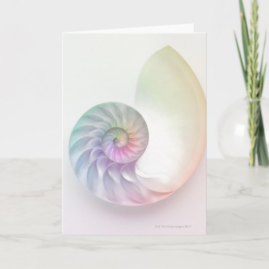 Künstlerisches farbiges Nautilusbild Karte (Vorderseite)