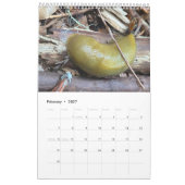 Künstlerisches Foto Kalender (Feb 2027)
