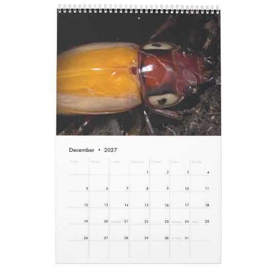 Künstlerisches Foto Kalender (Dez 2027)