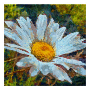 Künstlerisches Nah Up a Marguerite Daisy Blume Poster