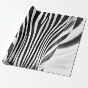 Künstlerisches Schwarz-Weiß-Nahaufnahmeportrait ei Geschenkpapier
