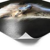 Künstlerisches Straußenportrait mit goofy expressi Fotodruck (Ecke)