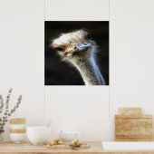 Künstlerisches Straußenportrait mit goofy expressi Poster (Küche)