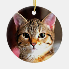 Künstlerisches Tabby Cat Kitten Portrait Keramik Ornament