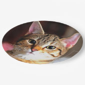 Künstlerisches Tabby Cat Kitten Portrait Pappteller (Schrägansicht)