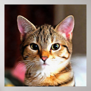 Künstlerisches Tabby Cat Kitten Portrait Poster