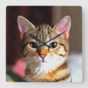 Künstlerisches Tabby Cat Kitten Portrait Quadratische Wanduhr
